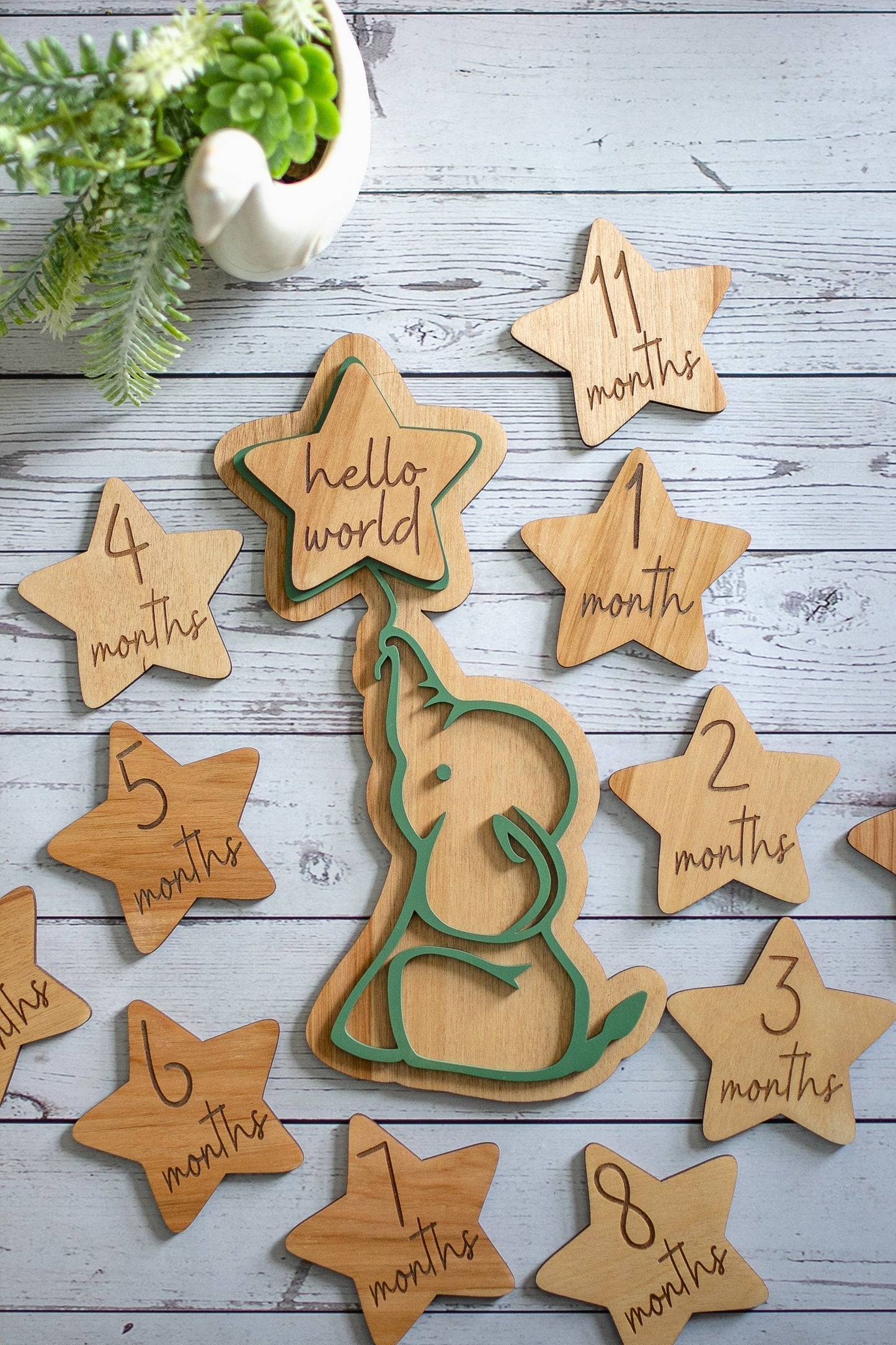 Personalized Baby Milestone Cards | Wooden Newborn Monthly Photo Gift