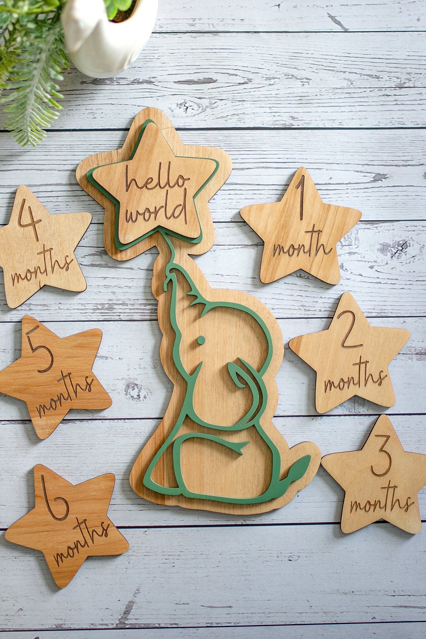 Personalized Baby Milestone Cards | Wooden Newborn Monthly Photo Gift