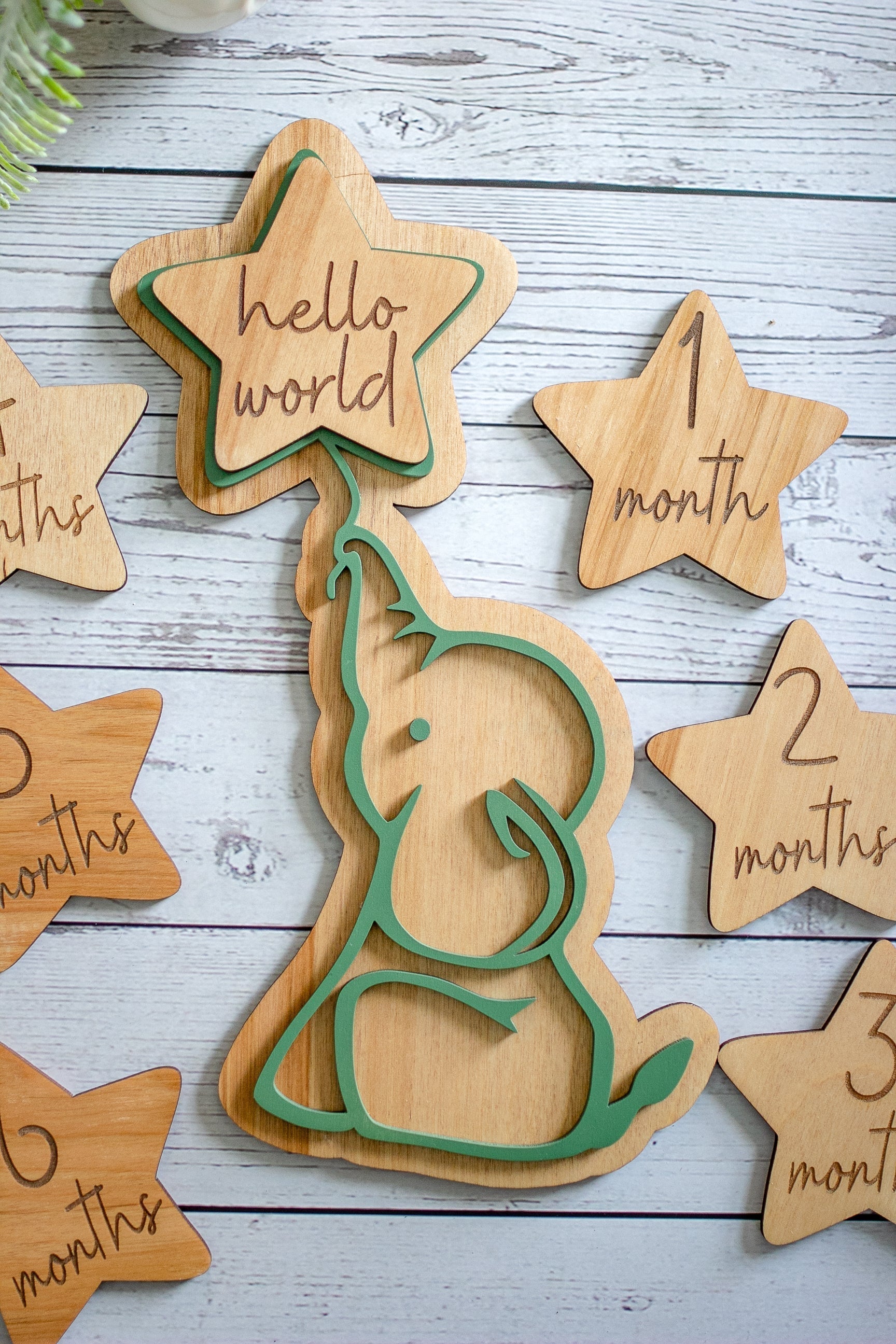 Personalized Baby Milestone Cards | Wooden Newborn Monthly Photo Gift